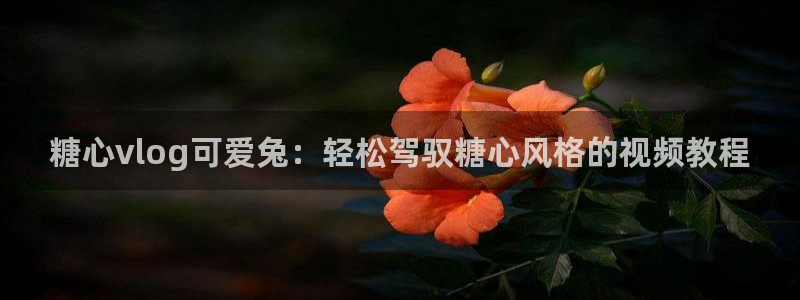 糖心vlog破解1.2：糖心vlog可爱兔：轻松驾驭糖心风格的视频教程