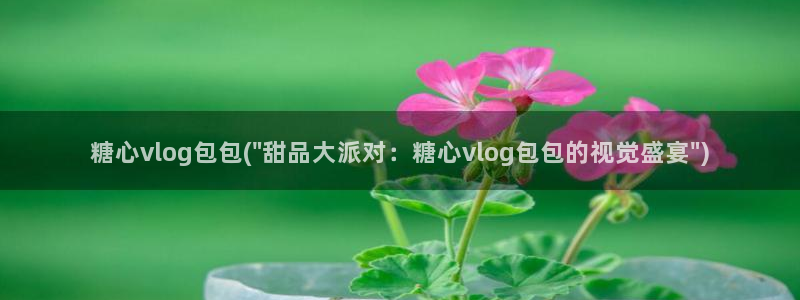 糖心vlog洛丽塔商场