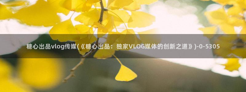 糖vlog原创