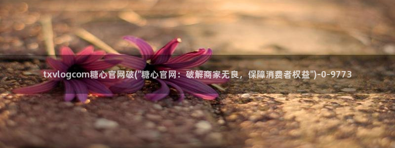 糖心少女vlog免费桐桐的生日