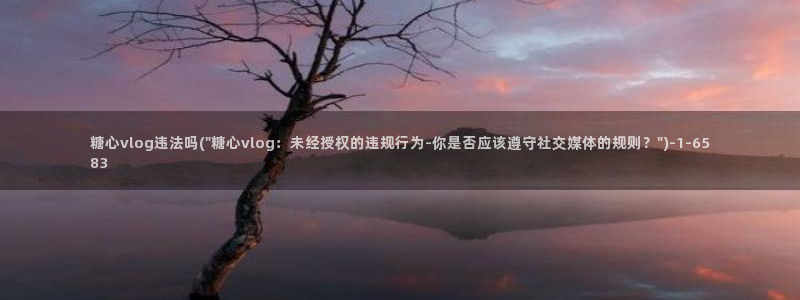 糖心vlog推荐：糖心vlog违法吗(\