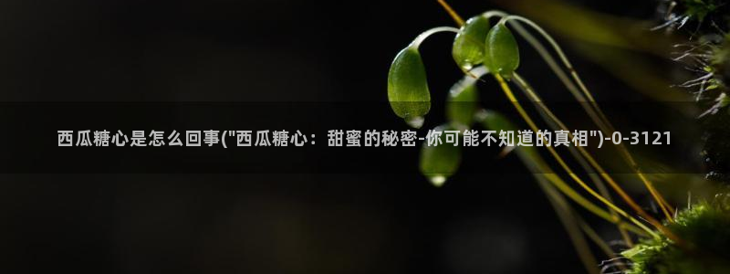 糖心vlog官网破解版