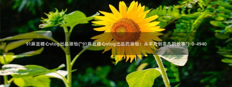 免费糖心vlog