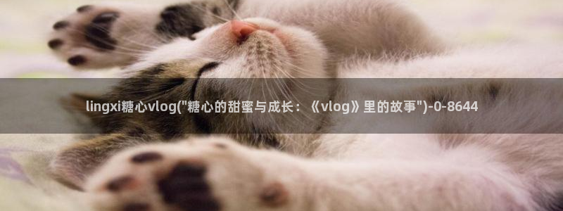 糖心vlog在线观看娜娜