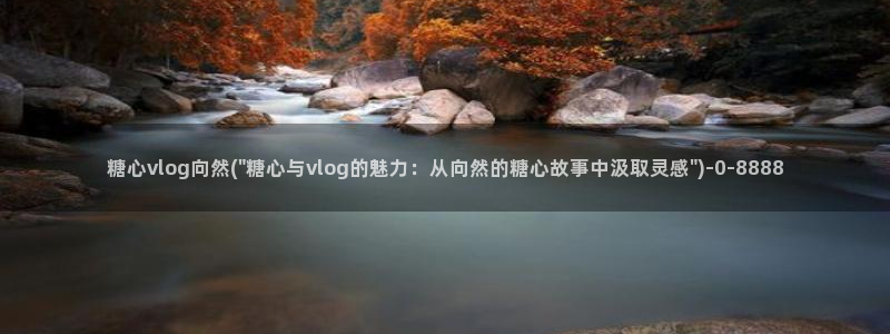 糖心vlog入口免费