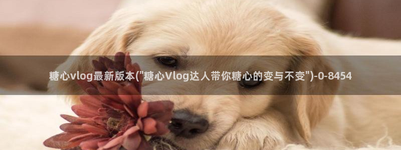 糖心vlog官网入