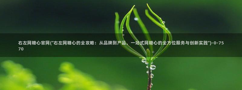 糖心vlog所有作品