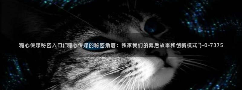 糖心 vlog