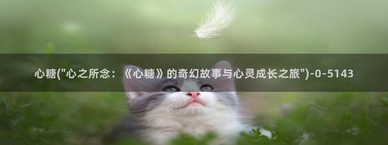 心糖vlog原创
