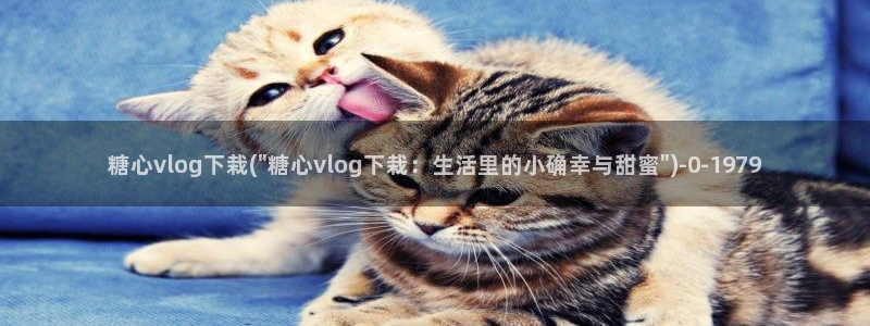 心糖vlog视频