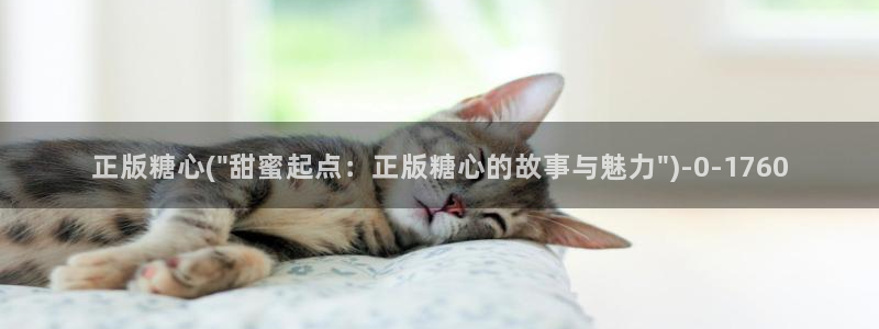 懒懒猪糖心vlog在线观看免费