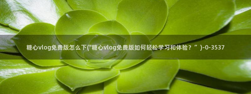 糖心vlog破解在线