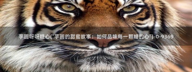糖心vlog出品