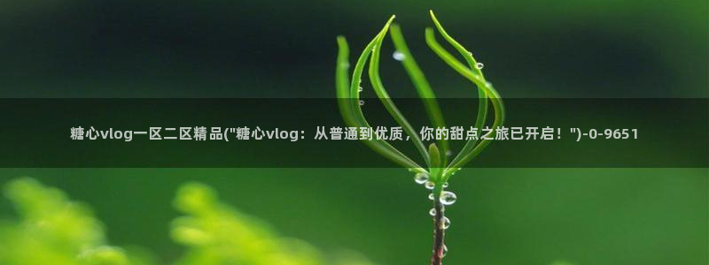 糖心vlog短视频