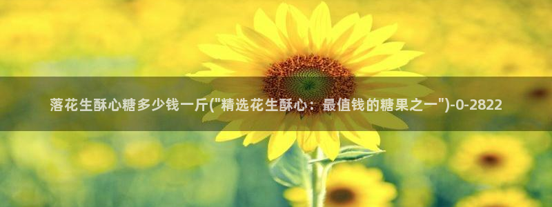 心糖vlog短视频